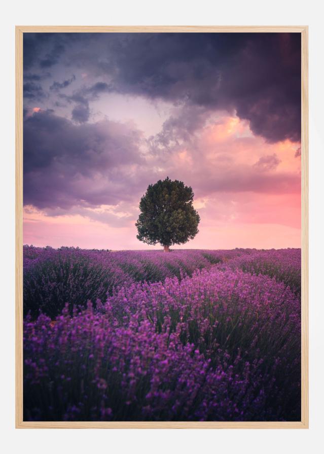 Lavender Fields Постер