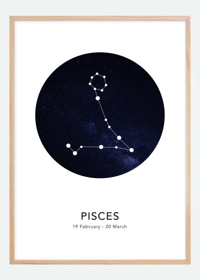 Pisces Постер