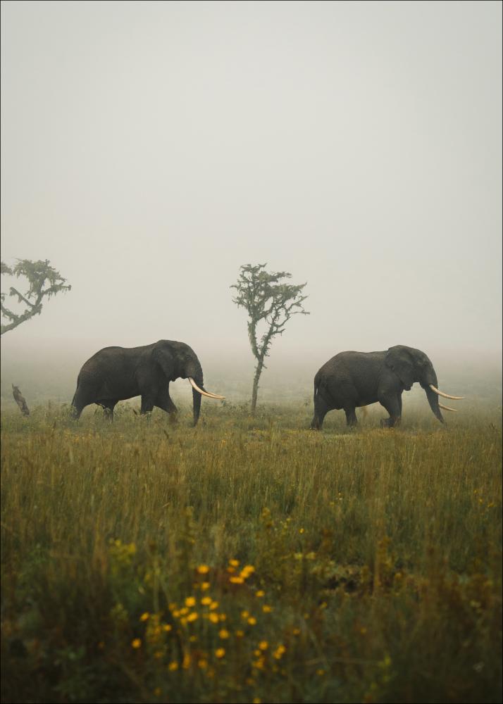 Elephant Walk Постер