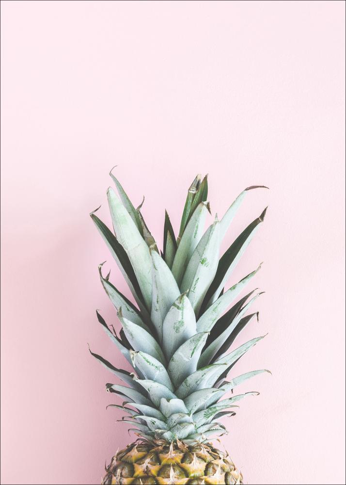 Pineapple Pink Постер