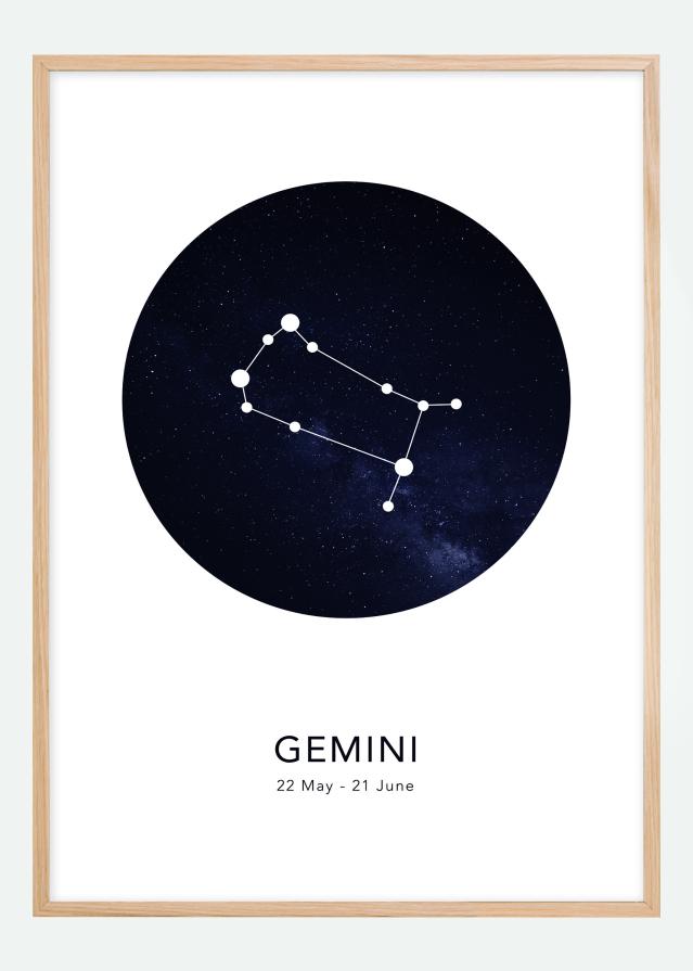 Gemini Постер