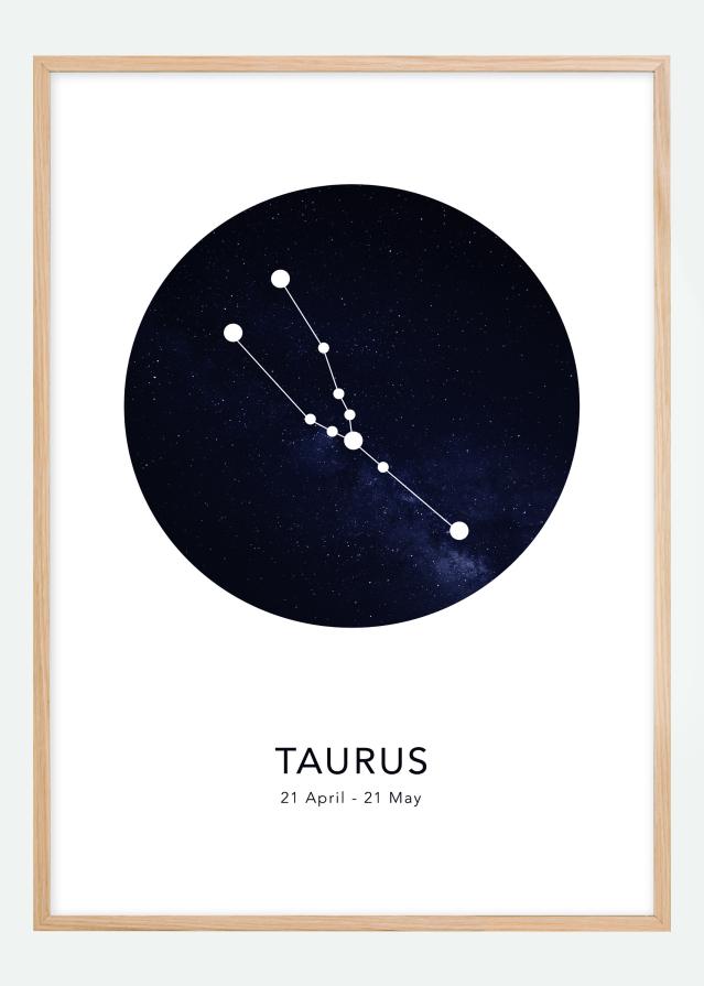 Taurus Постер