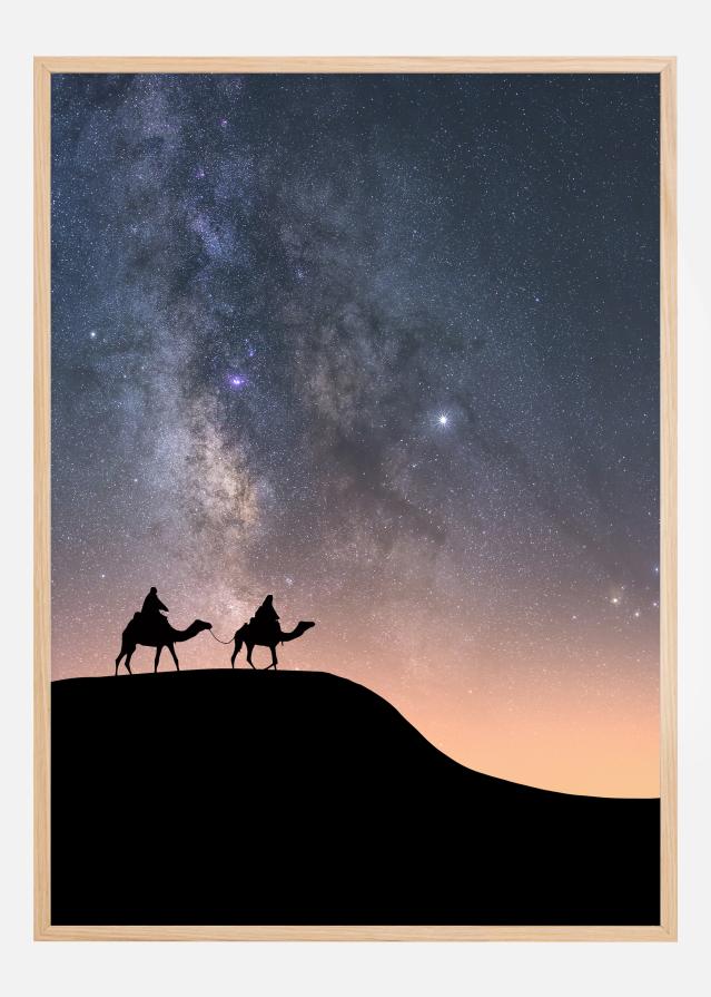 Camels Under The Stars Постер