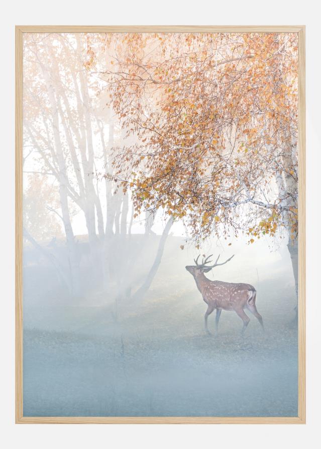 Elk Lost In Mist Постер