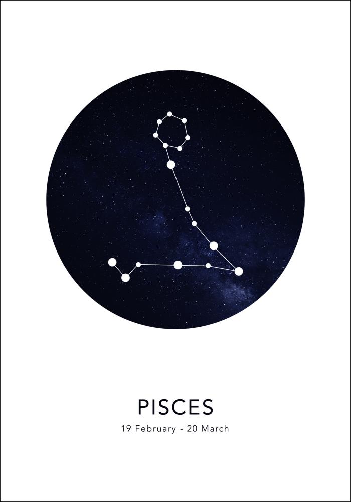 Pisces Постер