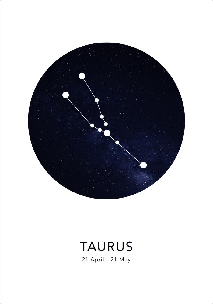 Taurus Постер