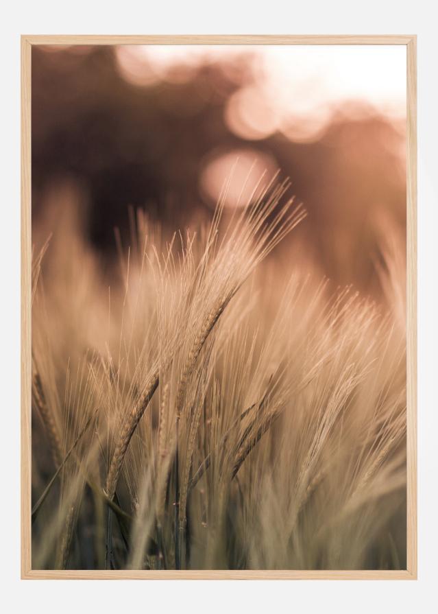 Wheat Fields I Постер