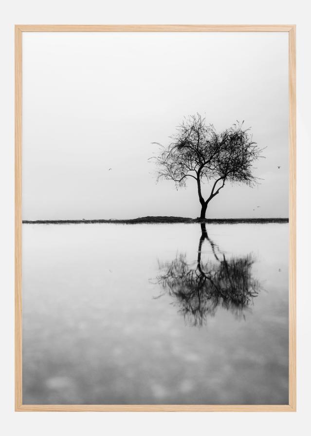 Lonely Tree Reflection Постер