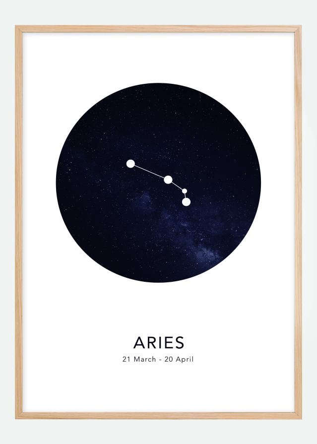 Aries Постер