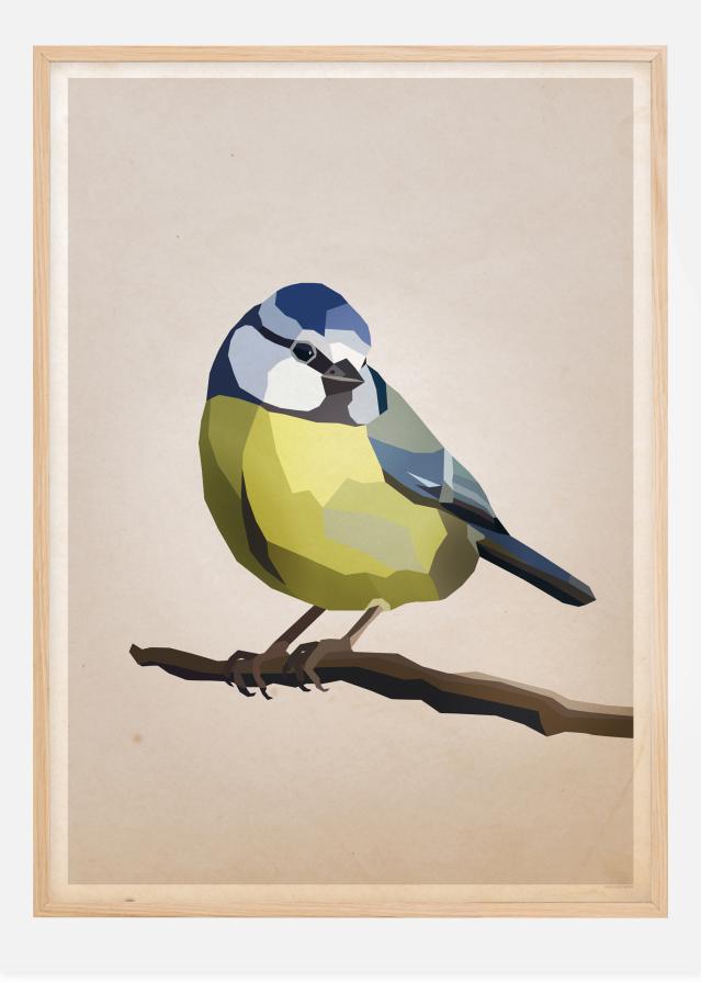 Blue tit Постер