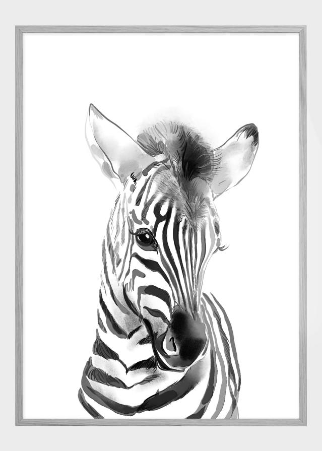 Zebra Watercolor Постер