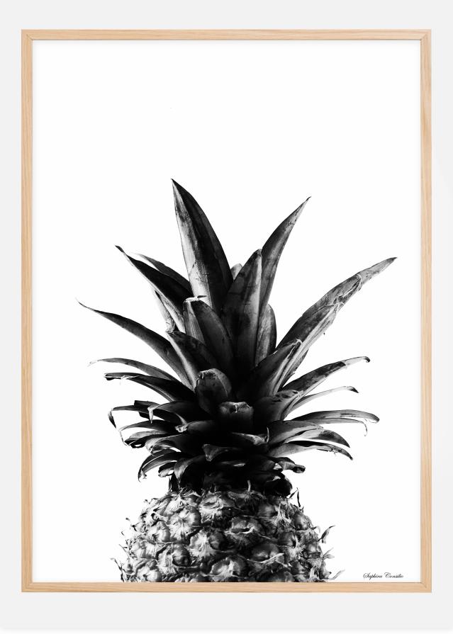 Pineapple B&W Постер