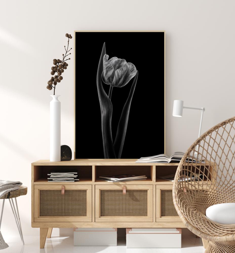 Rembrandt Tulip Постер