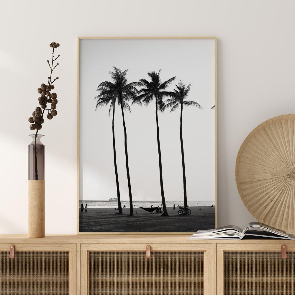 Black And White Palm Trees Постер