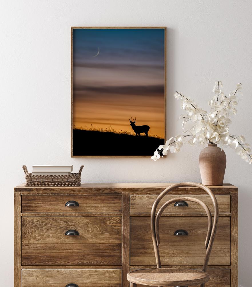 Deer In Sunset Постер