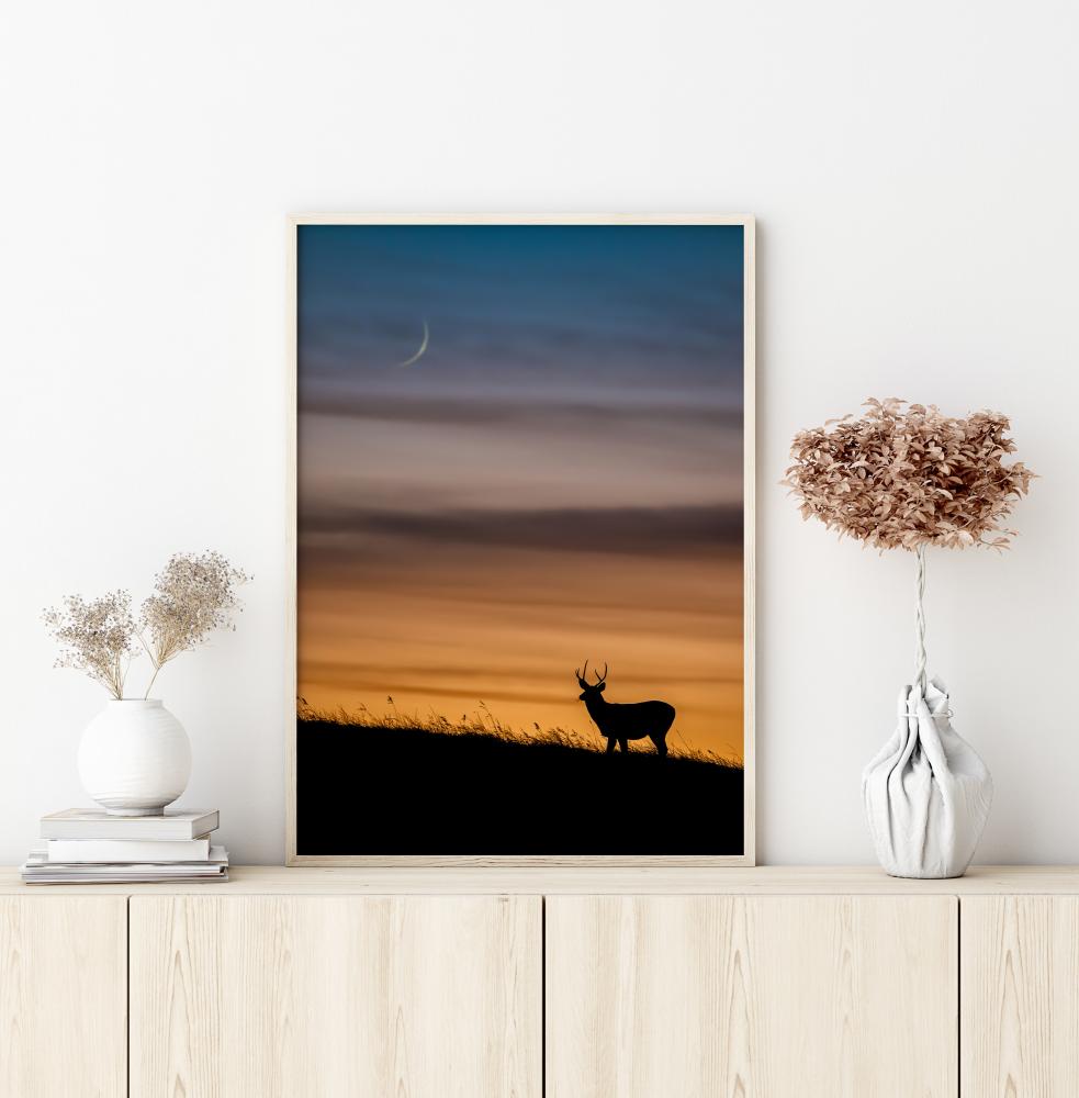 Deer In Sunset Постер