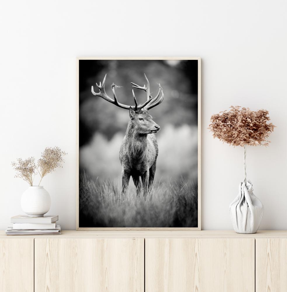 Deer With Horns Постер