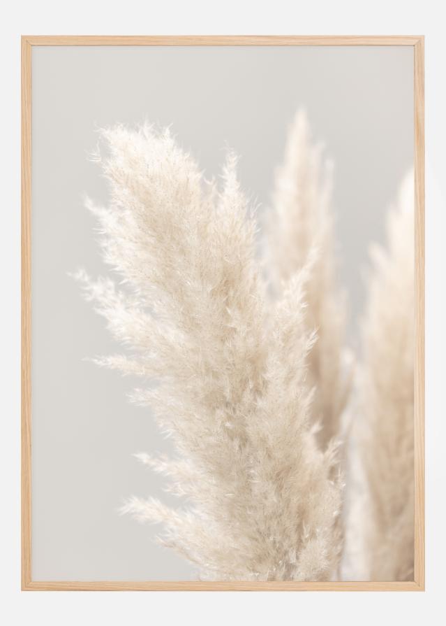 Pampas Grass IIII Постер