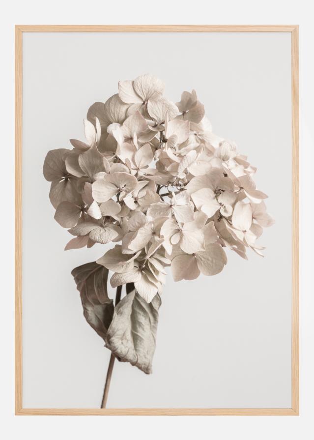 Beige Dried Flower Постер