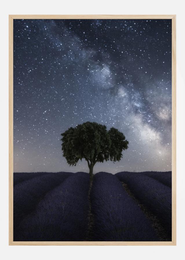 Tree And Milky Way Постер