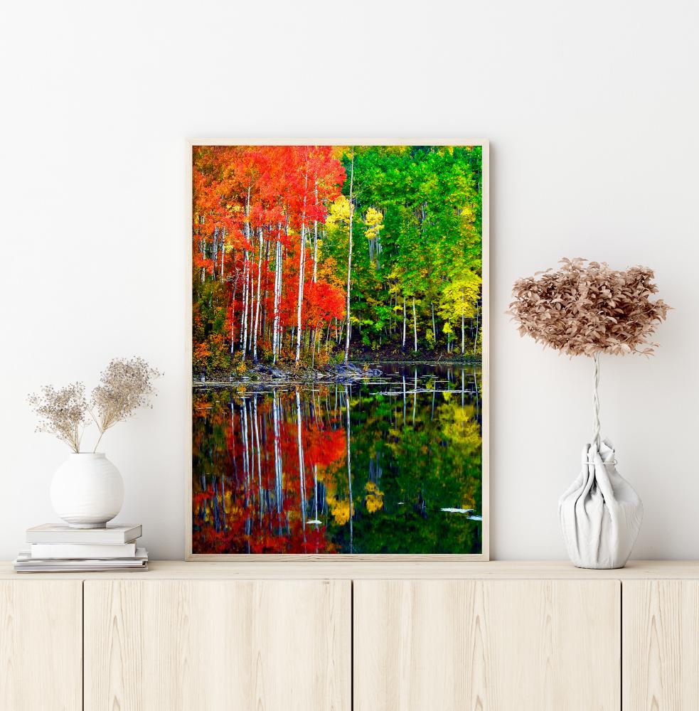 Colourful Trees By The Lake Постер