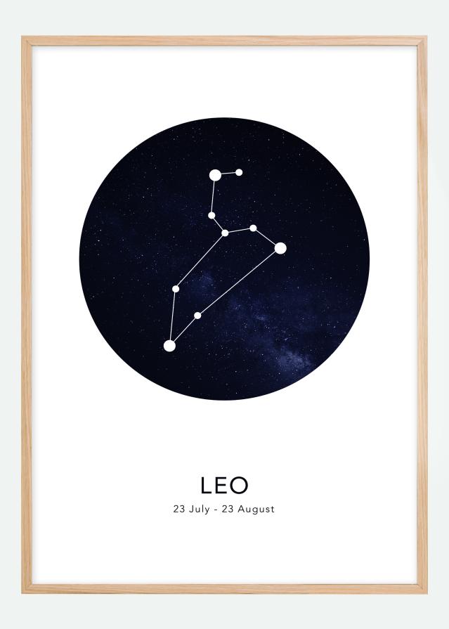 Leo Постер