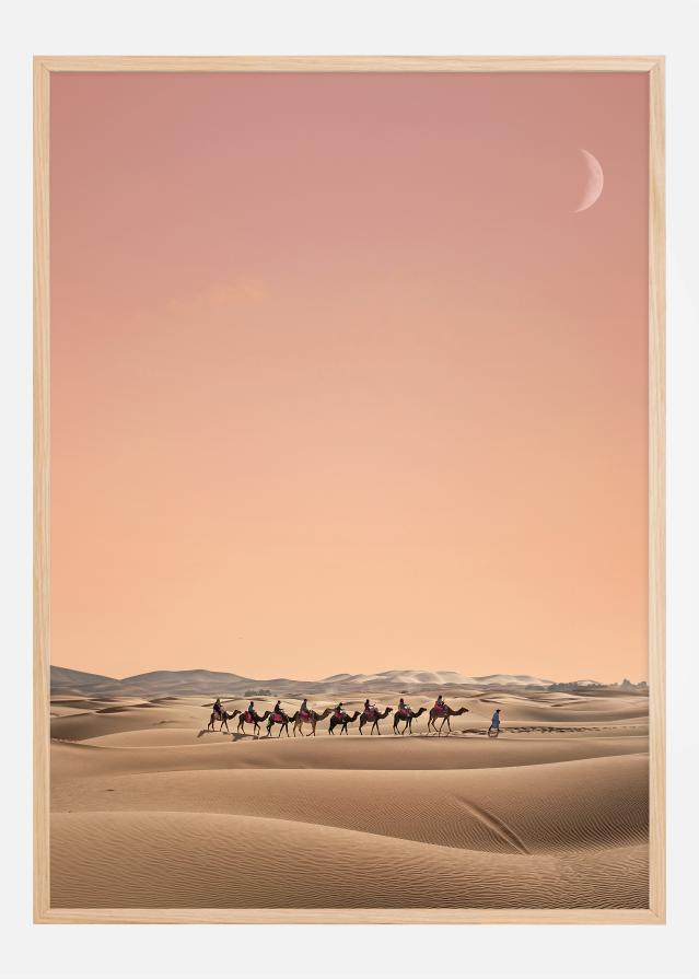 Eight Camels Постер