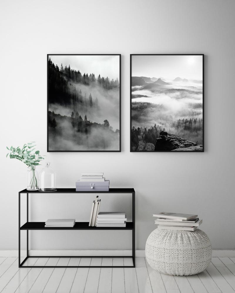 Foggy Forest Black & White I - 50x70 cm Постер