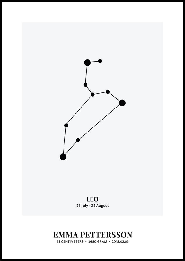 Leo - Зодии