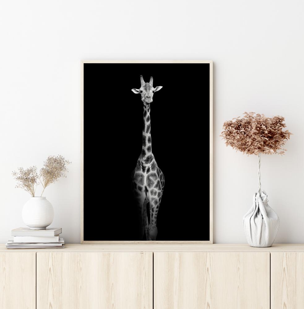 Stunning giraffe Постер