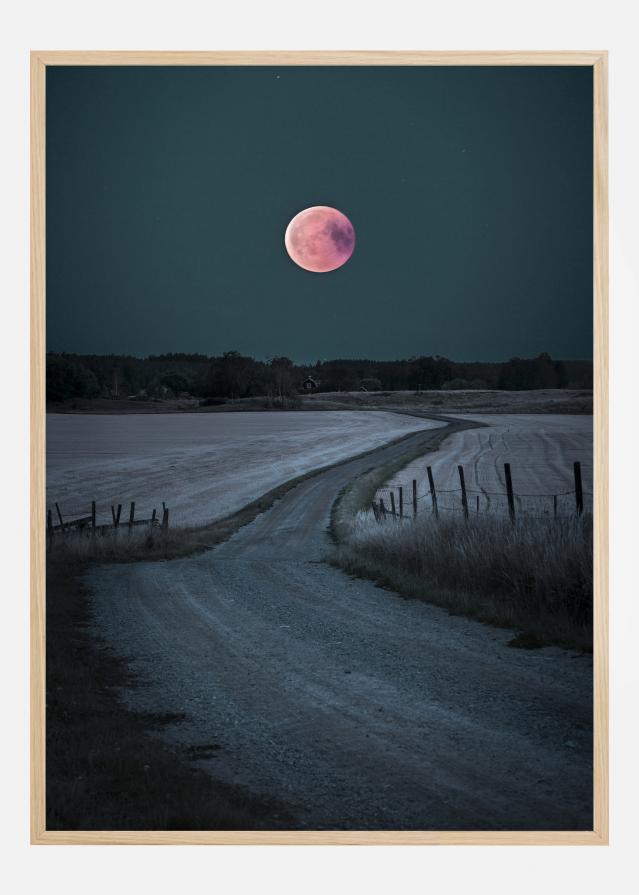 Bloodmoon 2018 Постер