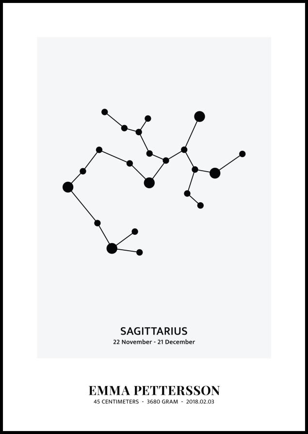 Sagittarius - Зодии