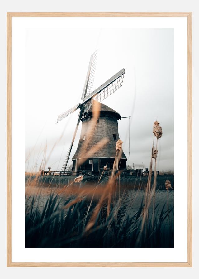 Dutch Windmill Постер