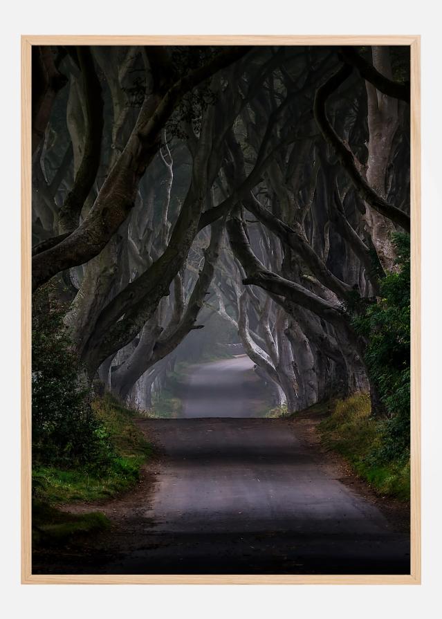 The Dark Hedges Magic road Постер