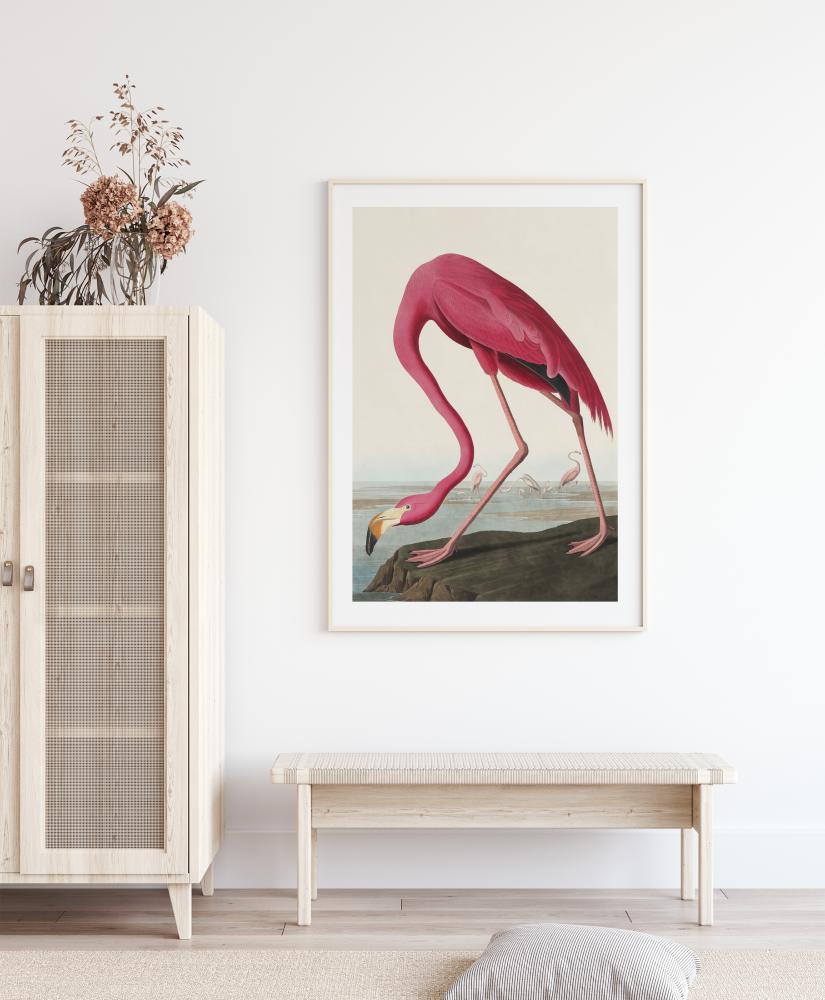 American Flamingo Постер