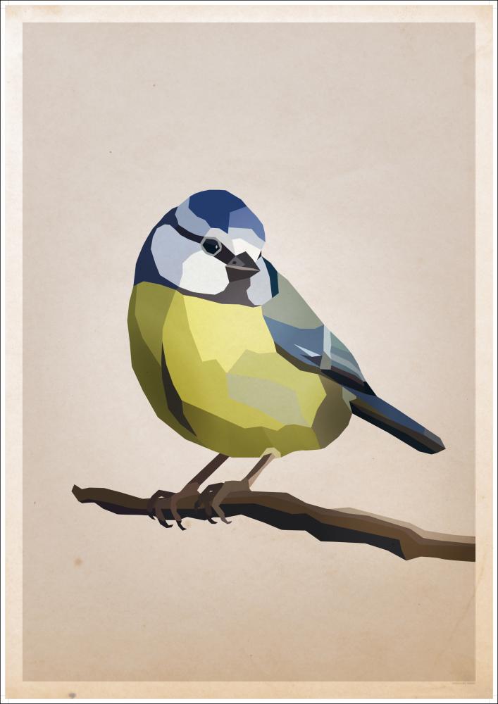 Blue tit Постер