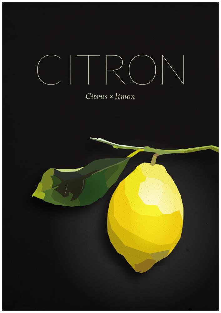 Citron Постер