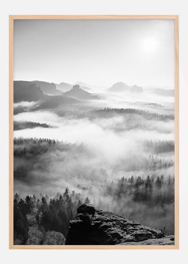 Foggy Forest Black & White I - 50x70 cm Постер