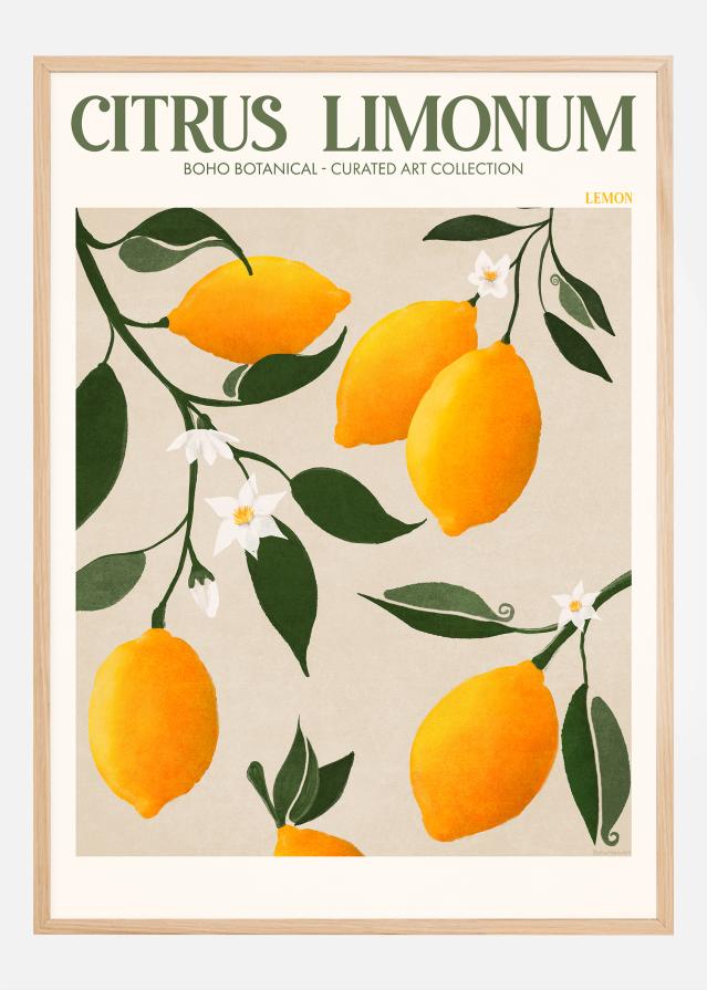 Boho Citrus Limonum Постер