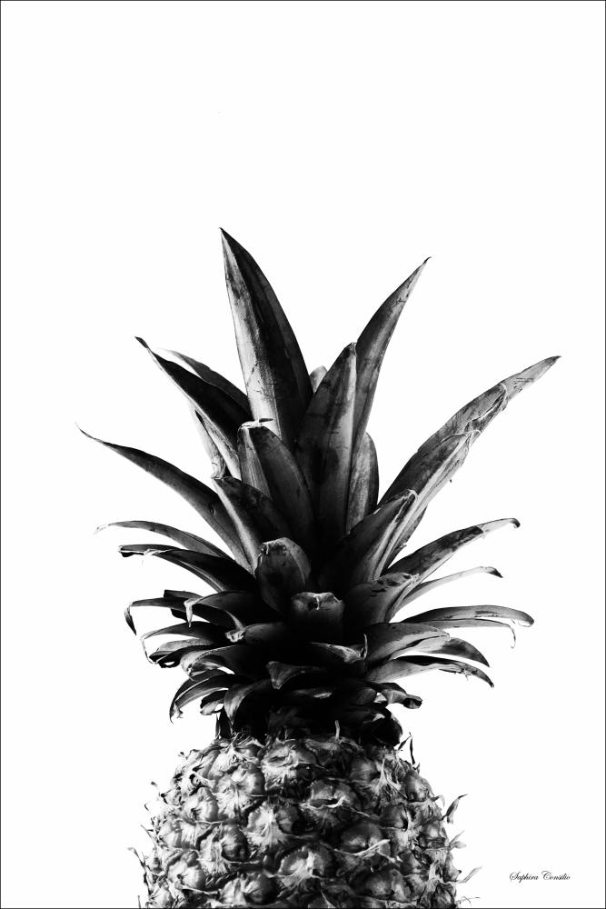 Pineapple B&W Постер