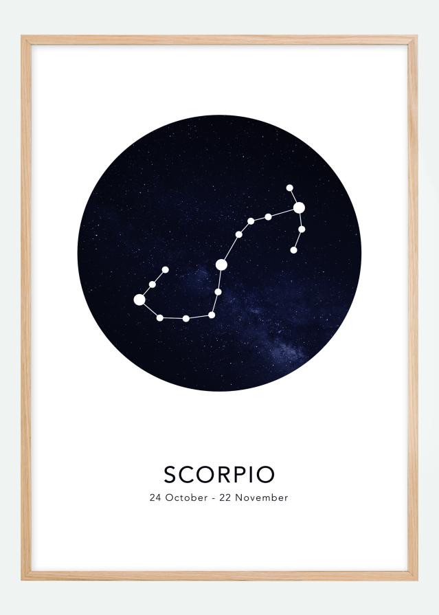 Scorpio Постер