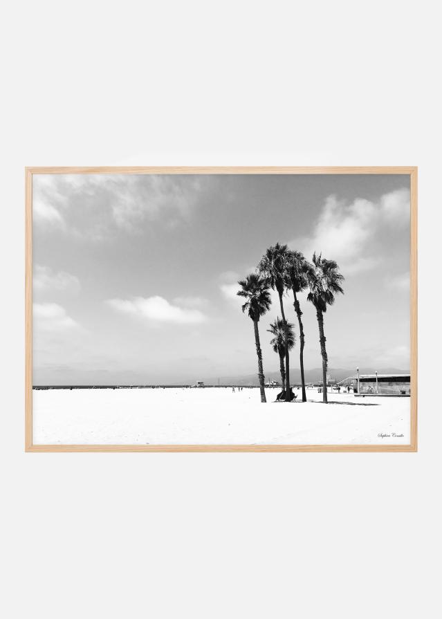 Venice Beach Ocean Постер