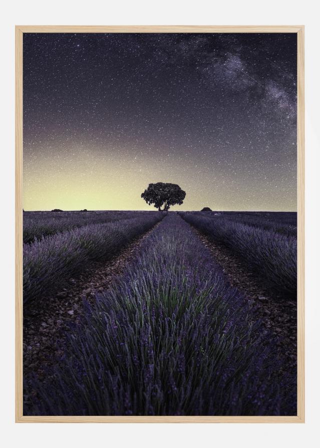 Lavender Fields Постер