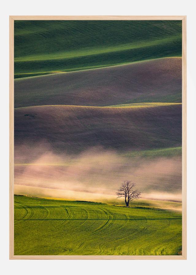 Sunset in Palouse Постер